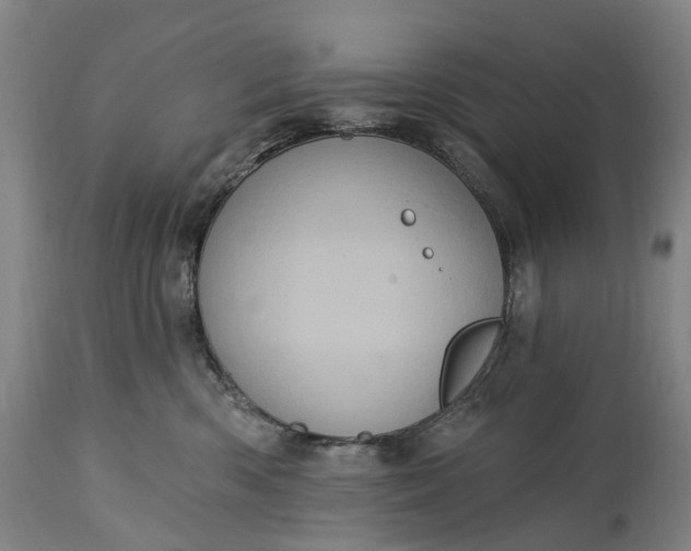 X0000115320426200911161749