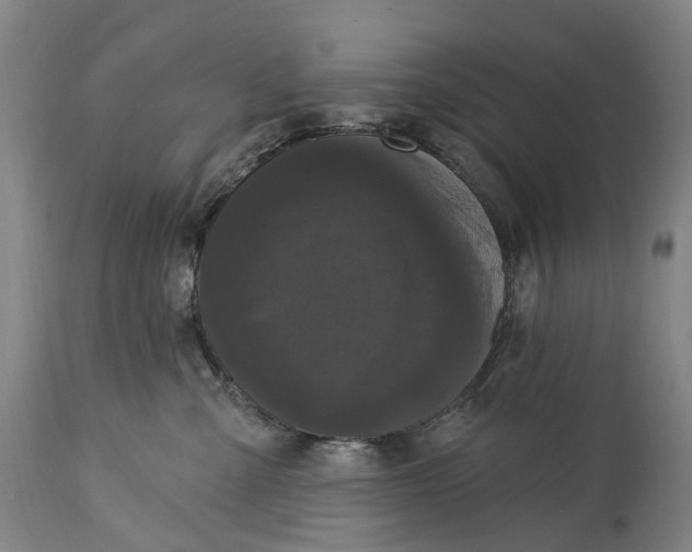 X0000115320427200911161749