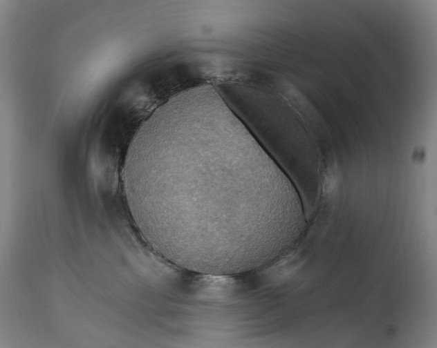 X0000115320429200911161749