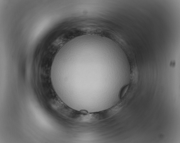 X0000115320430200911161749