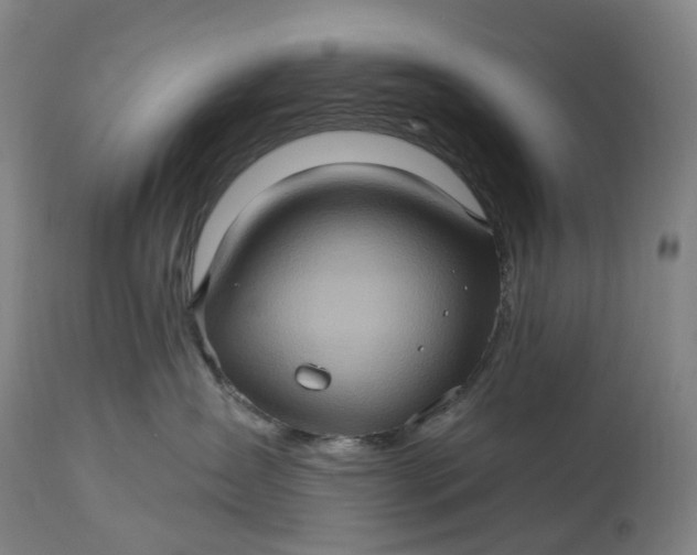 X0000115320431200911161749