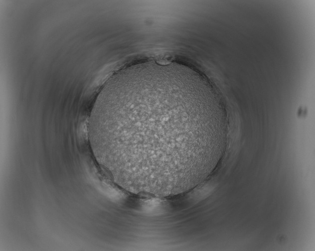 X0000115320432200911161749