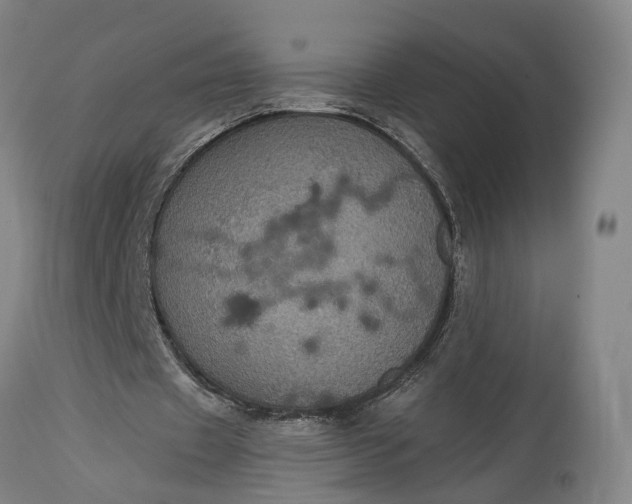 X0000115320433200911161749