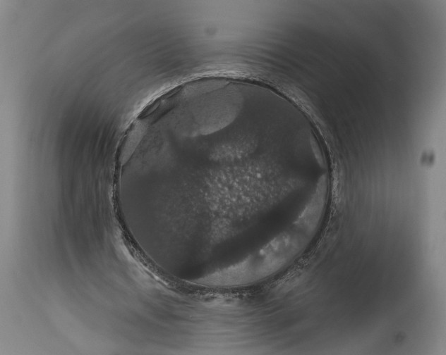 X0000115320434200911161749