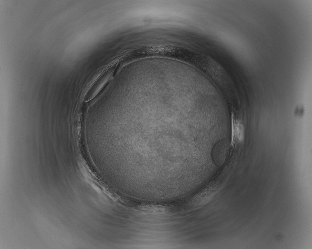 X0000115320435200911161749