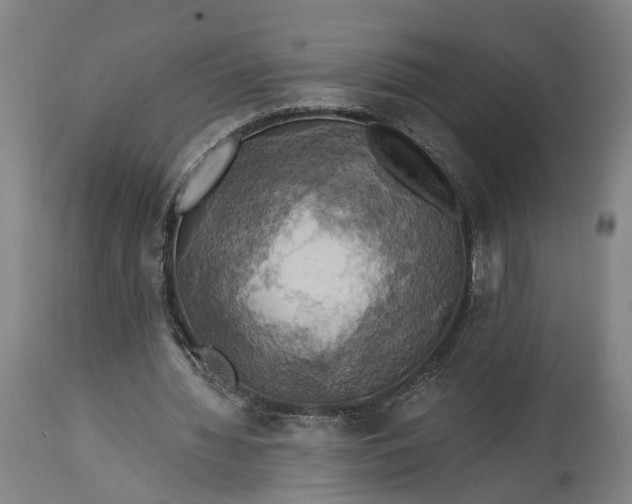 X0000115320436200911161749