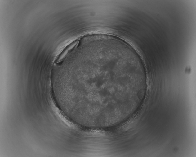 X0000115320437200911161749