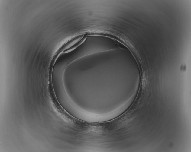 X0000115320438200911161749