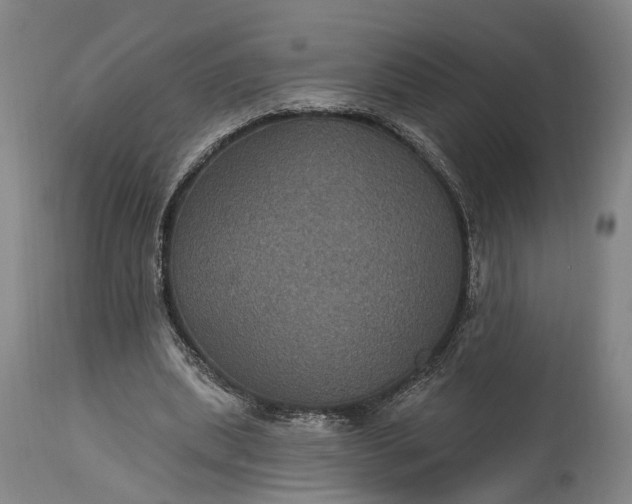 X0000115320439200911161749