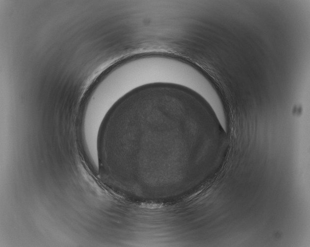 X0000115320440200911161749