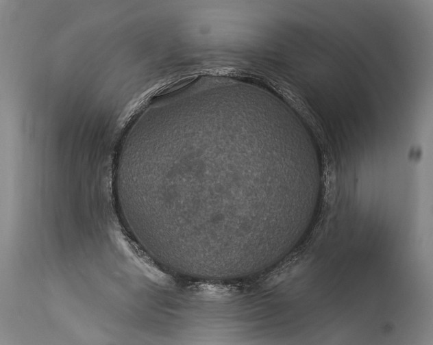 X0000115320442200911161749