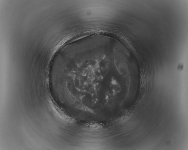 X0000115320443200911161749