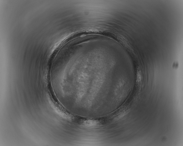 X0000115320444200911161749