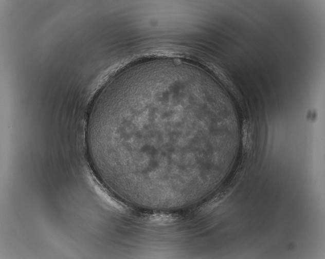 X0000115320445200911161749