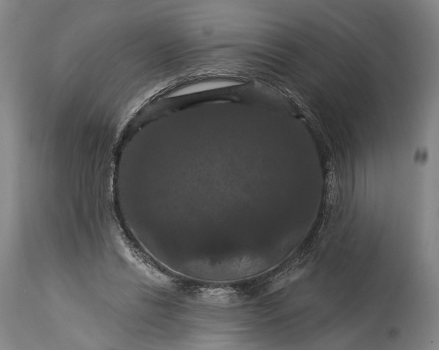 X0000115320446200911161749