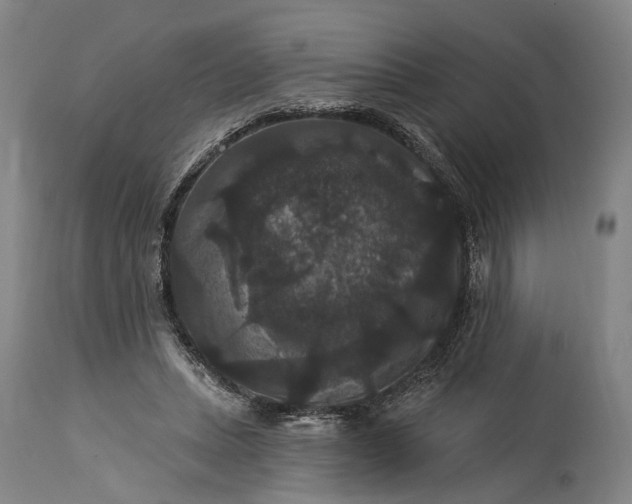 X0000115320447200911161749