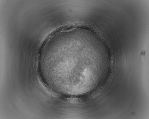 X0000115320448200911161749