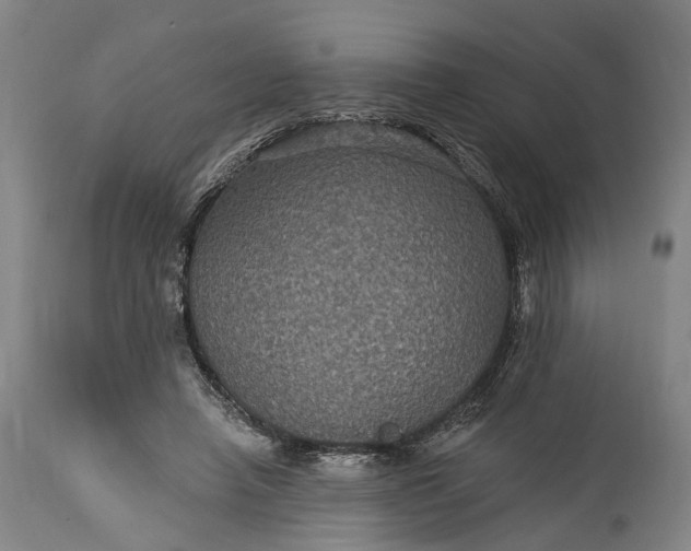 X0000115320450200911161749