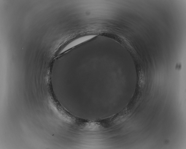 X0000115320451200911161749