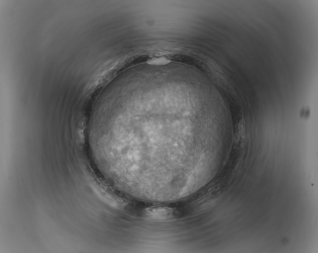 X0000115320452200911161749