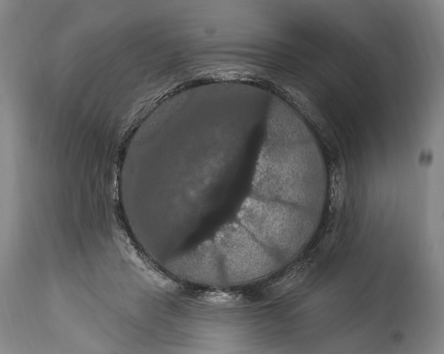 X0000115320453200911161749