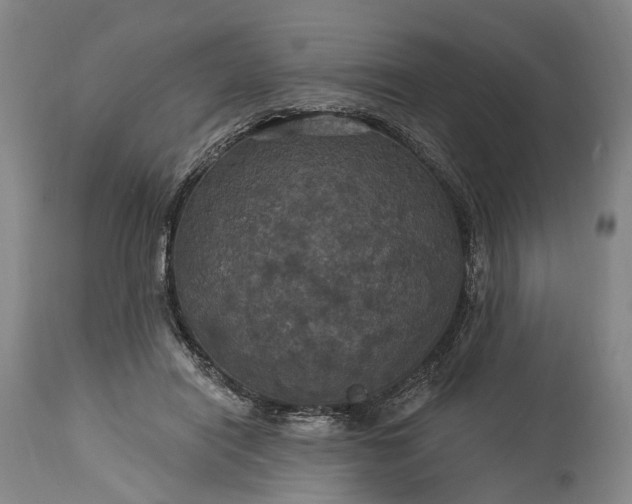 X0000115320454200911161749