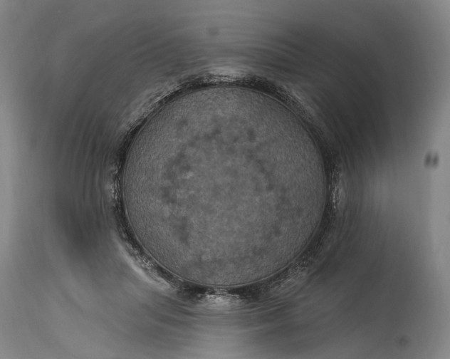 X0000115320455200911161749