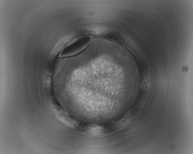 X0000115320456200911161749