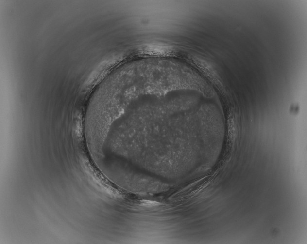 X0000115320457200911161749