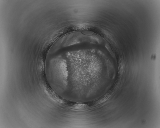 X0000115320459200911161749