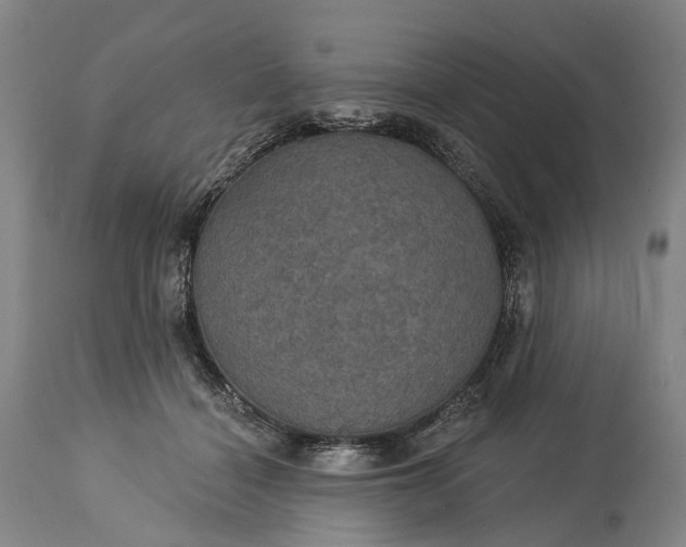 X0000115320460200911161749