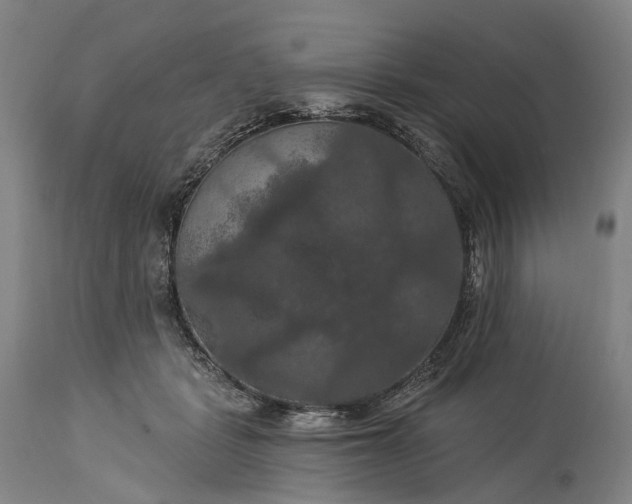 X0000115320461200911161749