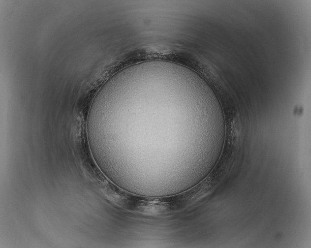 X0000115320463200911161749