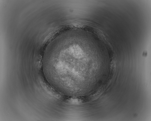 X0000115320464200911161749