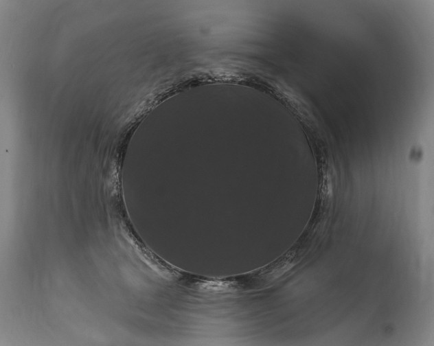 X0000115320465200911161749