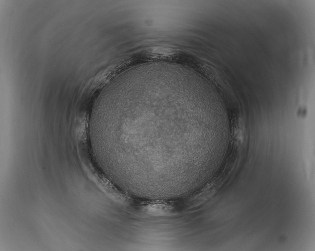 X0000115320468200911161749