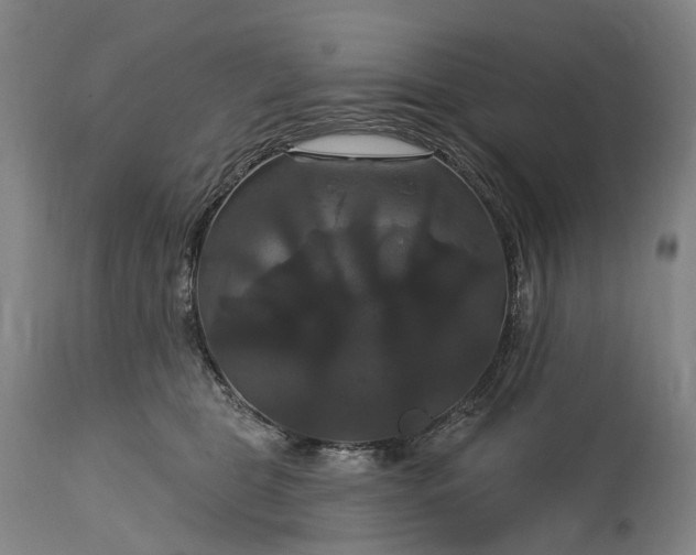 X0000115320469200911161749