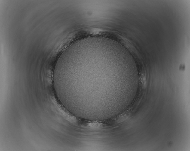 X0000115320470200911161749