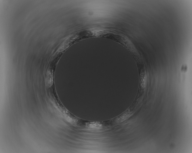 X0000115320471200911161749