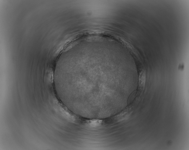 X0000115320474200911161749