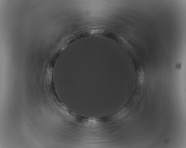 X0000115320475200911161749