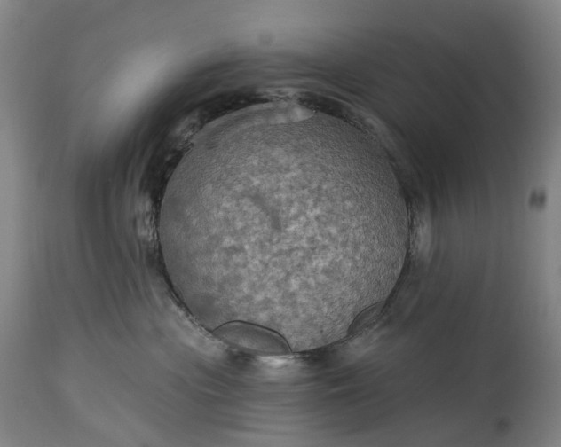 X0000115320477200911161749