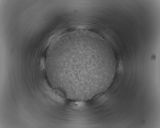 X0000115320478200911161749