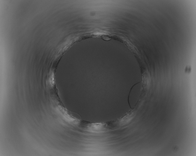 X0000115320479200911161749