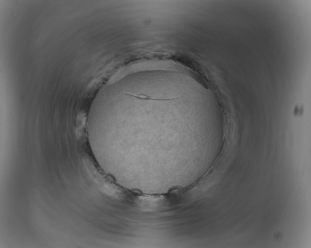 X0000115320480200911161749