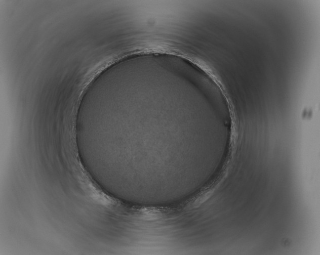 X0000115320481200911161749