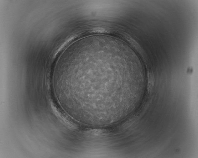 X0000115320482200911161749