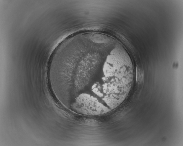 X0000115320483200911161749