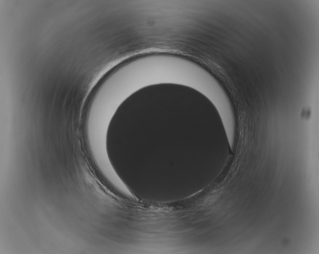 X0000115320484200911161749