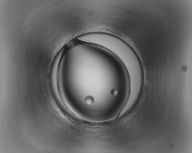 X0000115320485200911161749